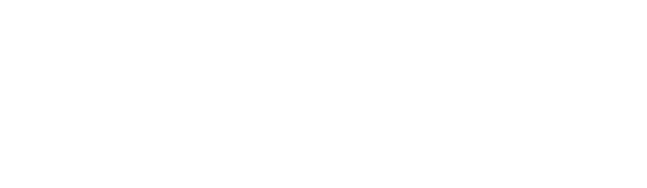 logo2